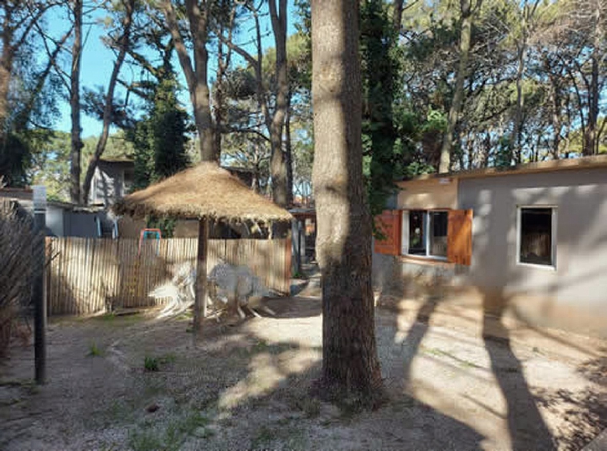 Departamentos con parque y parrilla en Costa del Este miniatura 12