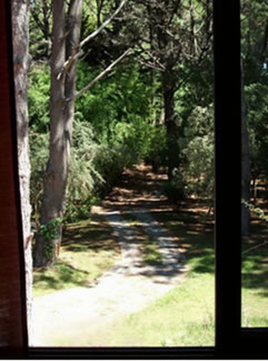 Dúplex con pileta y parrilla en Costa del Este miniatura 12