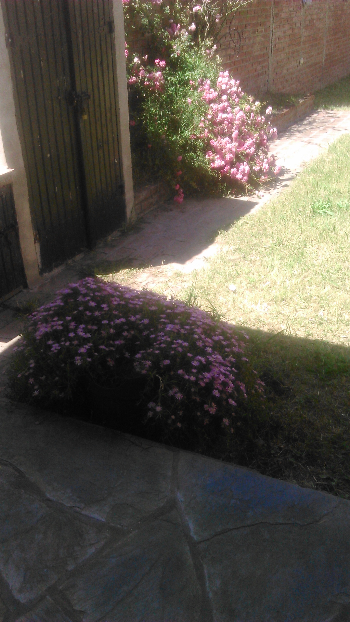 Chalet para 6 personas frente al mar con parque y parrilla miniatura 8